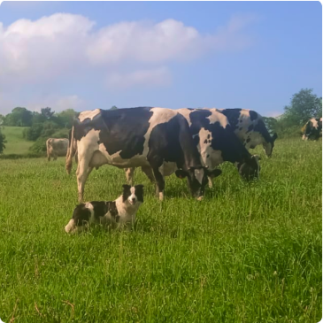 b4193858-91c8-4a94-8b73-db752bba7dc1 1