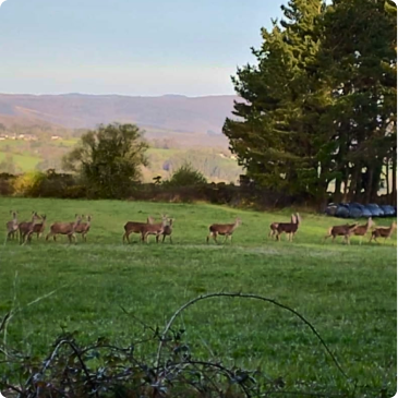 b4193858-91c8-4a94-8b73-db752bba7dc1 2