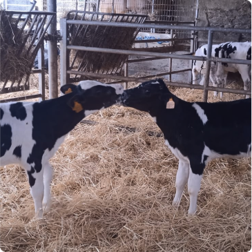 b4193858-91c8-4a94-8b73-db752bba7dc1 3