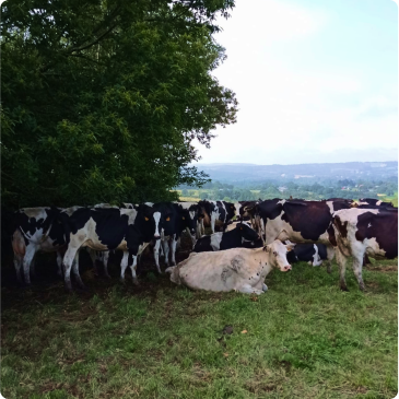 b4193858-91c8-4a94-8b73-db752bba7dc1 4